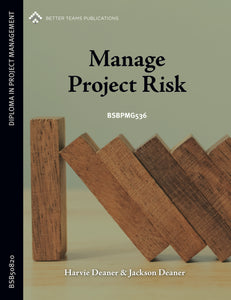 Manage Project Risk