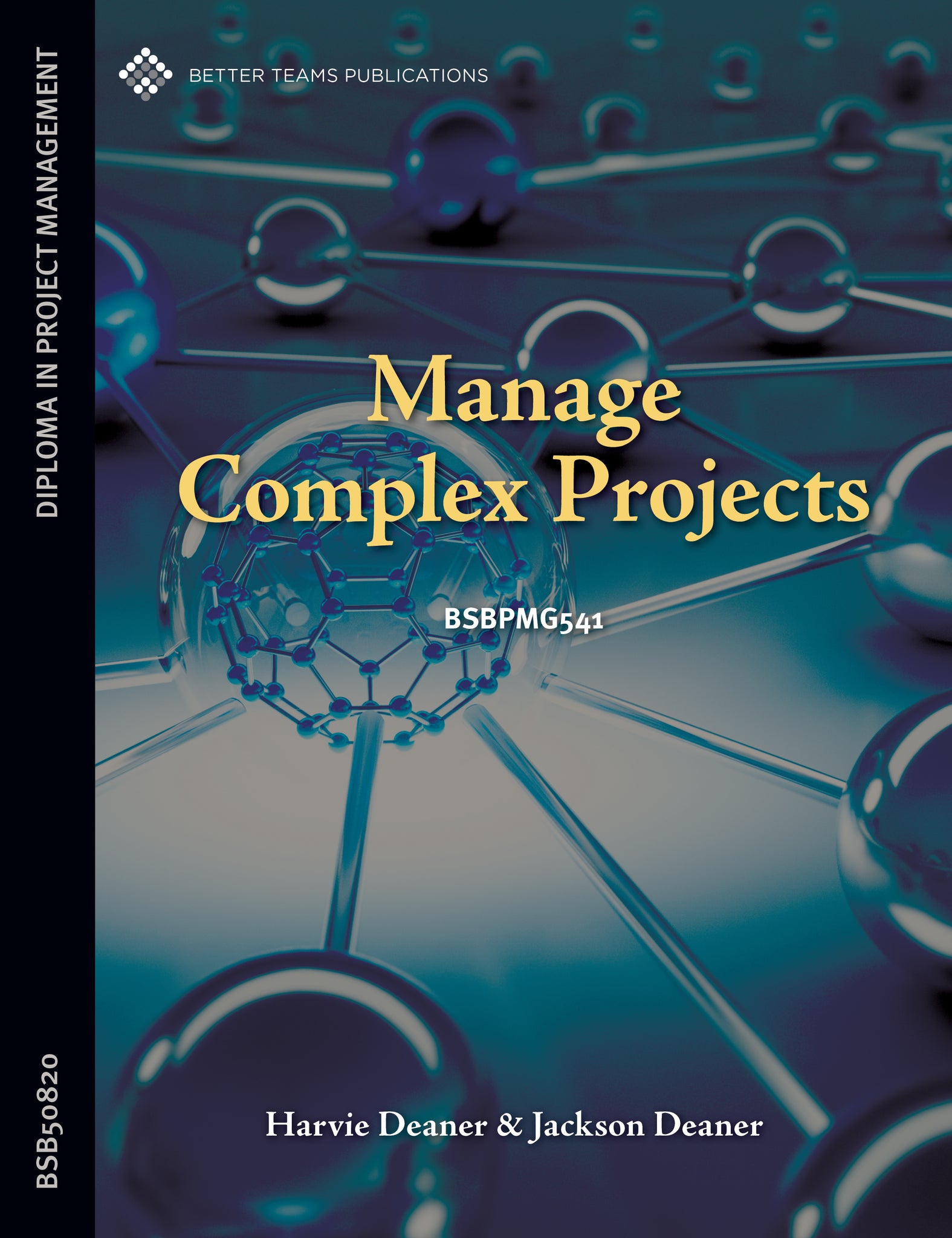 Manage Complex Projects – Learn Now Publications